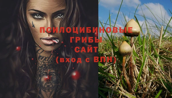 мяу мяу мука Алексин