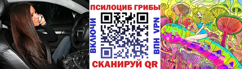 Галлюциногенные грибы Cubensis  маркетплейс официальный сайт  Киржач 